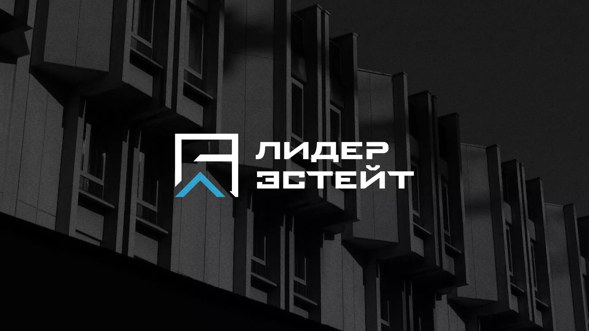Разработка логотипа агентства недвижимости «Лидер Эстейт» в Североморске